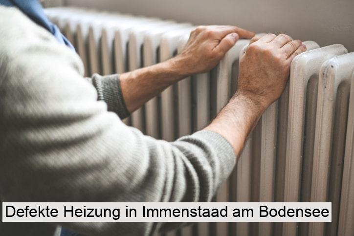 Defekte Heizung in Immenstaad am Bodensee